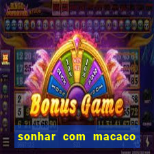 sonhar com macaco o que significa